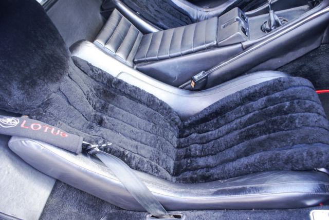 1980 Lotus Esprit - photo 12
