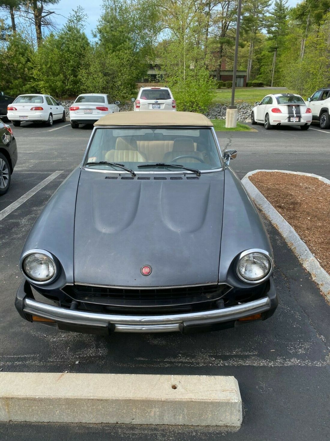 1980 Fiat Other - photo 2