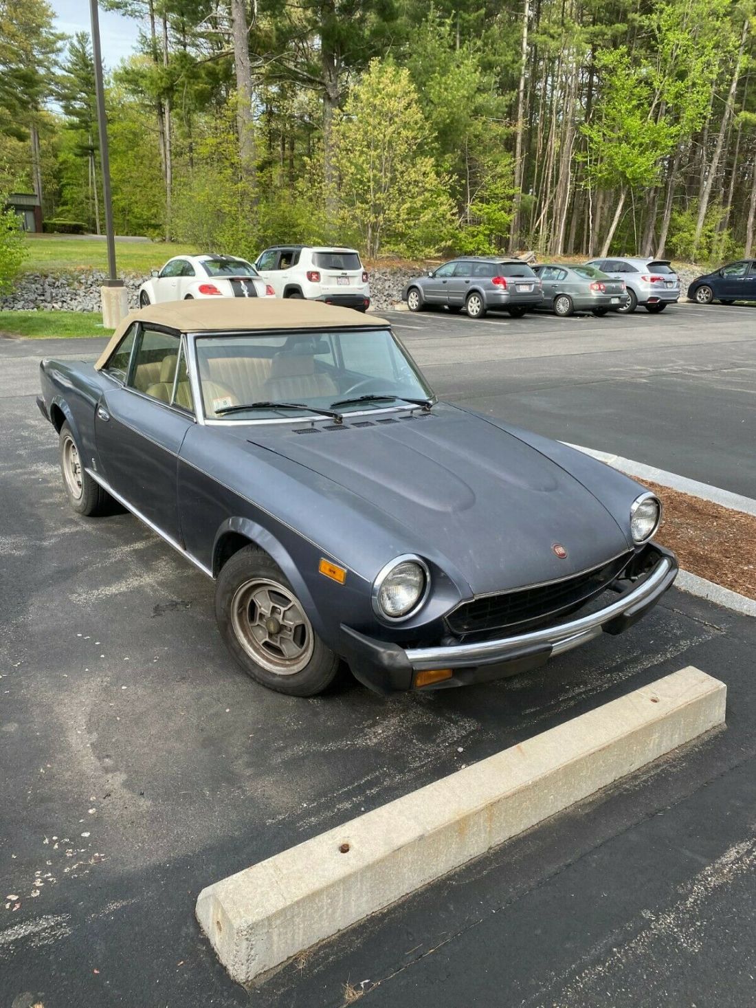 1980 Fiat Other - photo 3