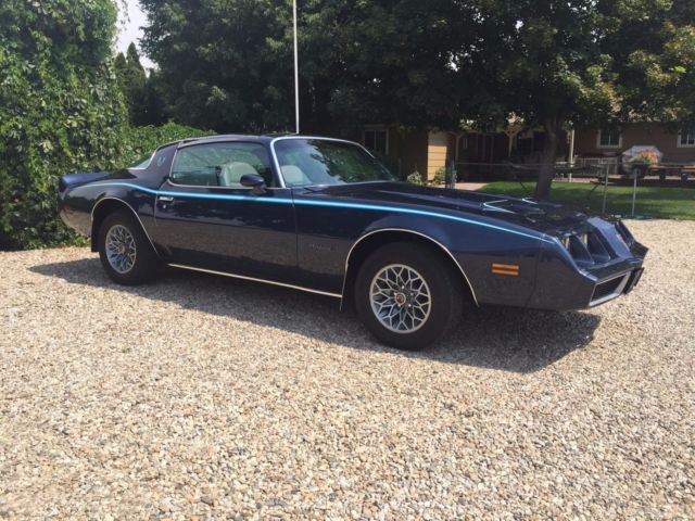 1980 Firebird 1980 Pontiac Firebird