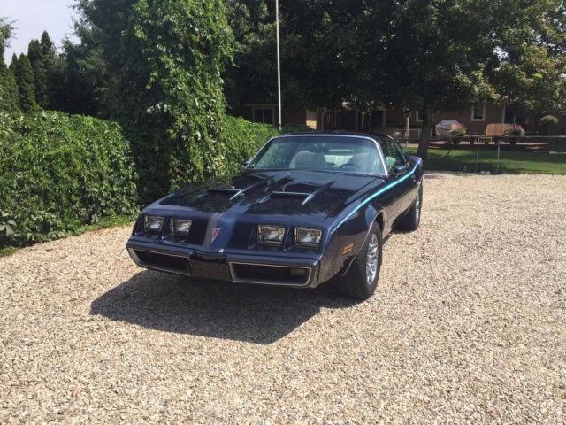 1980 Pontiac Firebird - photo 2