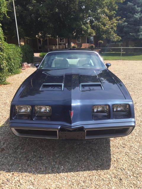 1980 Pontiac Firebird - photo 3