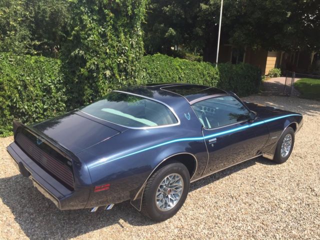 1980 Pontiac Firebird - photo 4