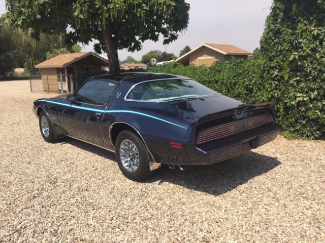 1980 Pontiac Firebird - photo 5