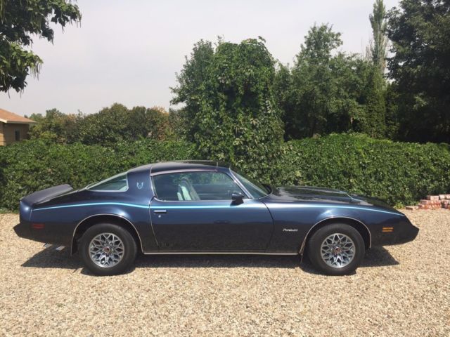 1980 Pontiac Firebird - photo 6