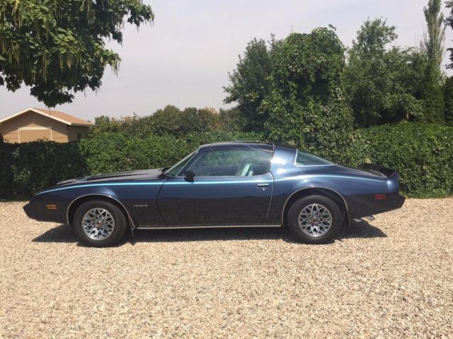 1980 Pontiac Firebird - photo 7