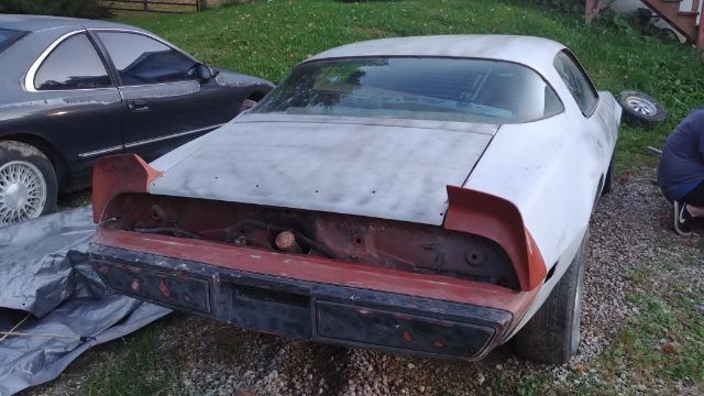 1980 Pontiac Firebird - photo 2