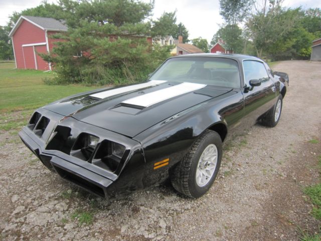 1980 firebird formula 350 SBC 1980 Pontiac Trans Am