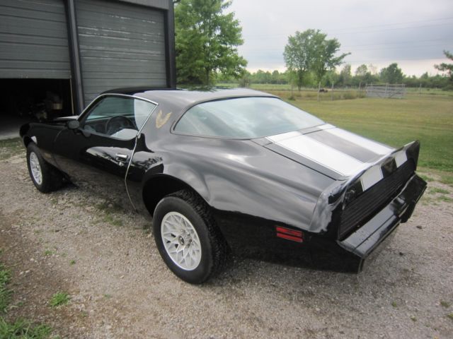 1980 Pontiac Trans Am - photo 2