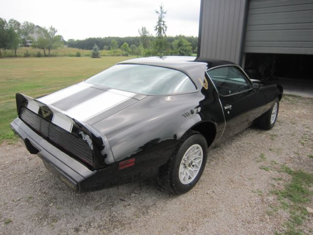 1980 Pontiac Firebird - photo 3