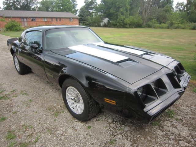 1980 Pontiac Firebird - photo 4