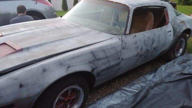 1980 Pontiac Firebird - photo 5