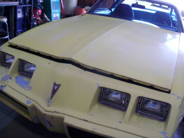 1980 Pontiac Firebird - photo 4