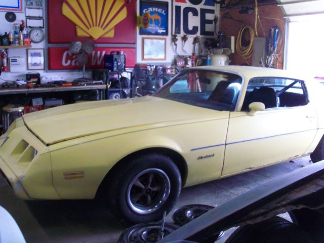 1980 Pontiac Firebird - photo 5