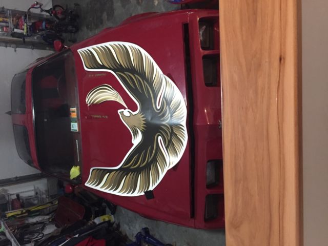 1980 Pontiac Firebird - photo 2