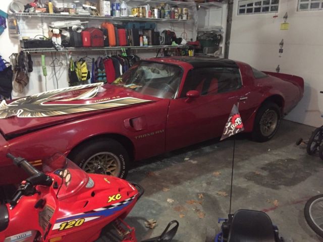 1980 Pontiac Firebird - photo 3