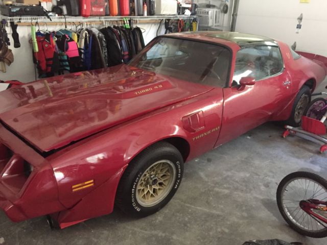 1980 Pontiac Firebird - photo 6