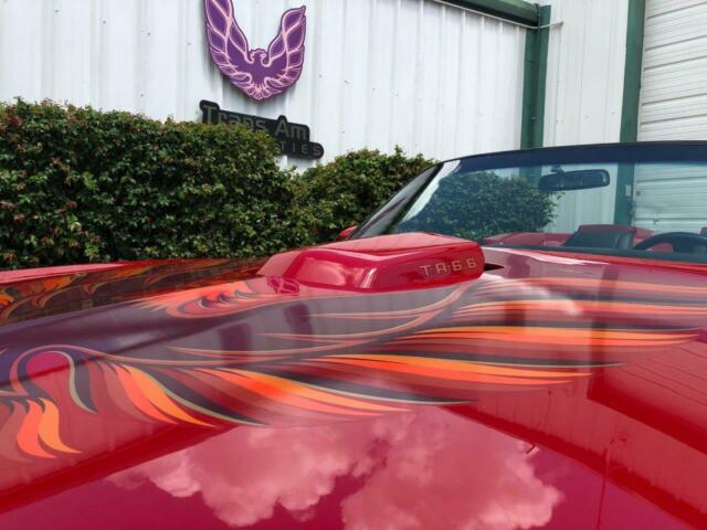 1980 Pontiac Firebird - photo 10