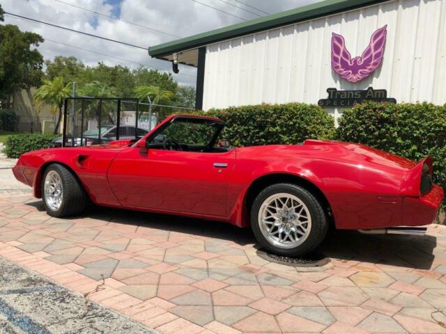 1980 Pontiac Firebird - photo 5