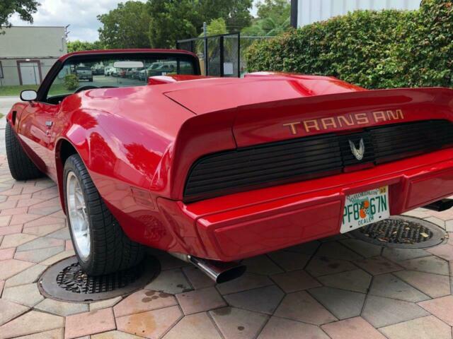 1980 Pontiac Firebird - photo 6