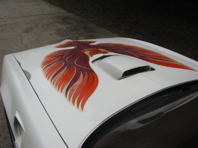1980 Pontiac Trans Am - photo 10