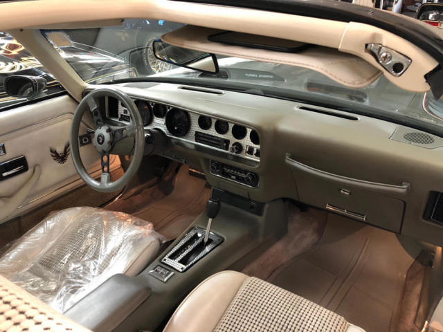 1980 Pontiac Trans Am - photo 11