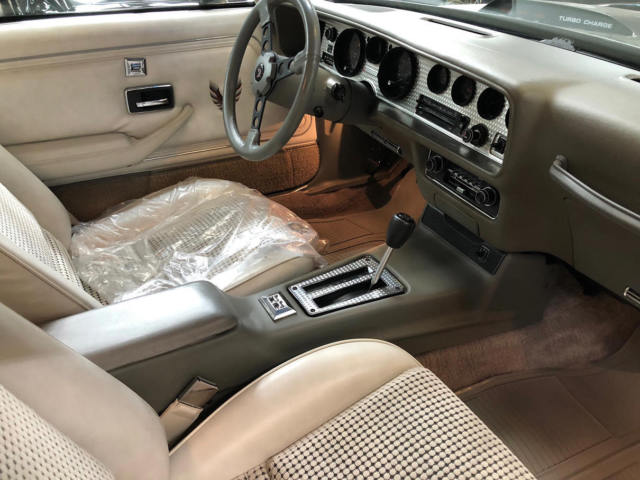 1980 Pontiac Trans Am - photo 9