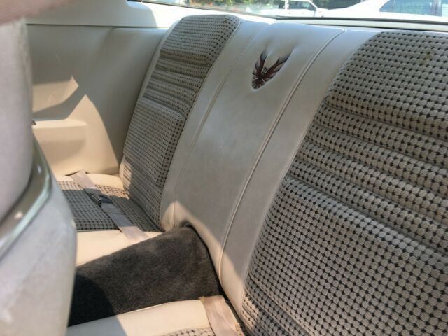 1980 Pontiac Trans Am Trans Am - photo 12
