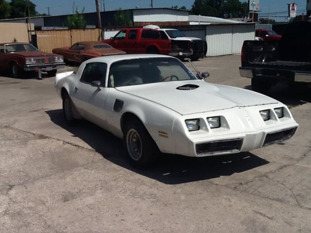 1980 Pontiac Firebird TRANS AM