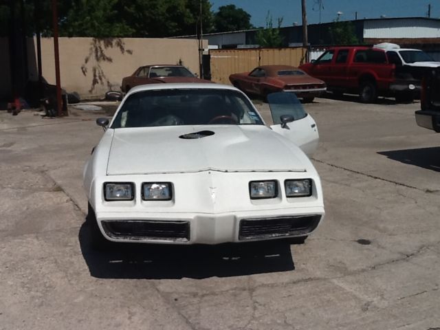 1980 Pontiac Firebird TRANS AM - photo 3