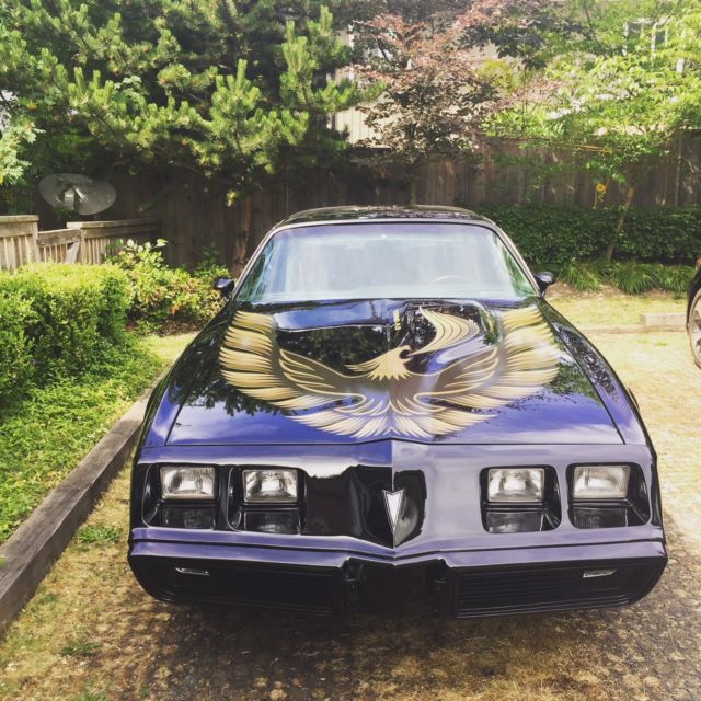 1980 Firebird Trans Am Turbo Clone 4.9L Glass tops Black on Black 1980 Pontiac Firebird Trans Am