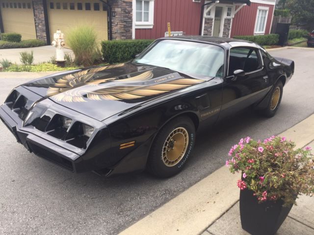 1980 Pontiac Firebird Trans Am - photo 2