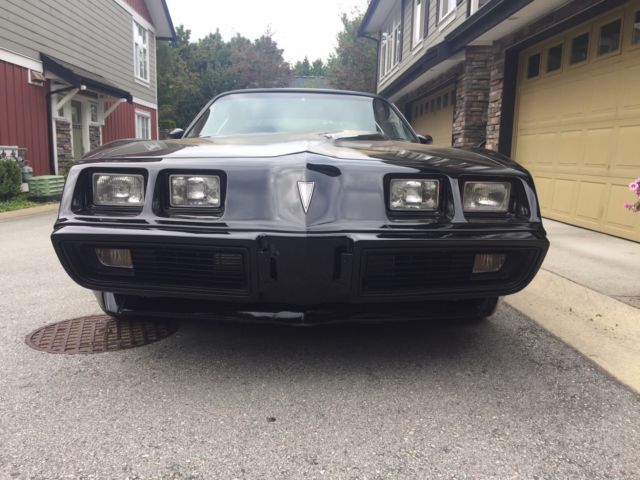 1980 Pontiac Firebird Trans Am - photo 4
