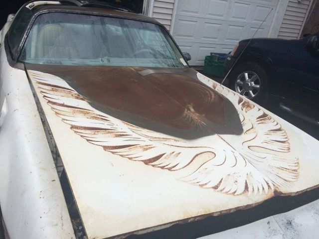 1980 Pontiac Trans Am Pace Car - photo 2