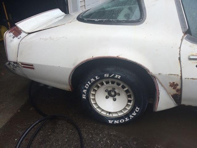 1980 Pontiac Trans Am Pace Car - photo 3