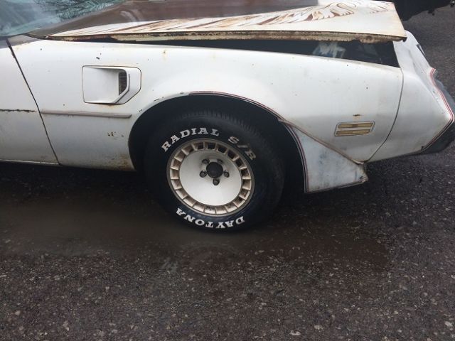 1980 Pontiac Trans Am Pace Car - photo 4