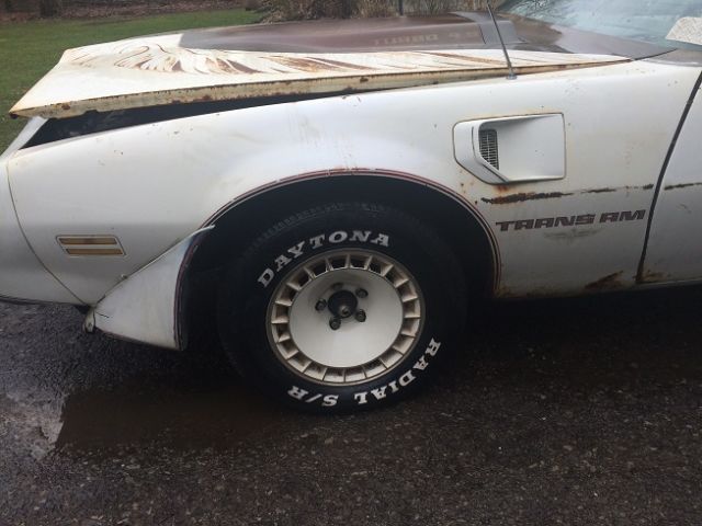 1980 Pontiac Trans Am Pace Car - photo 5