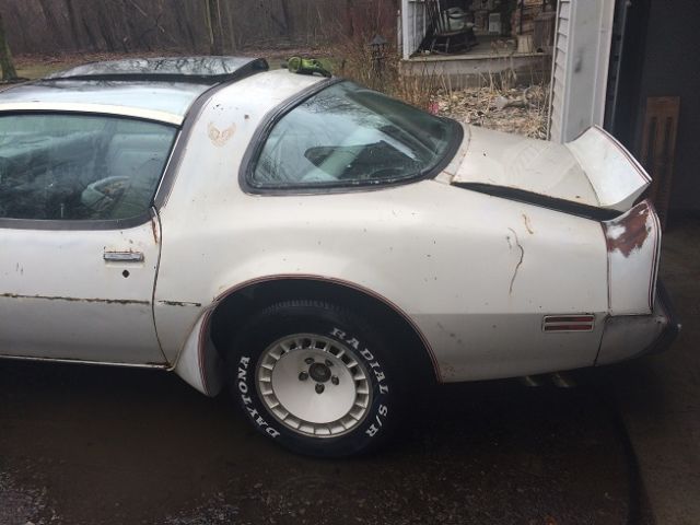 1980 Pontiac Trans Am Pace Car - photo 6