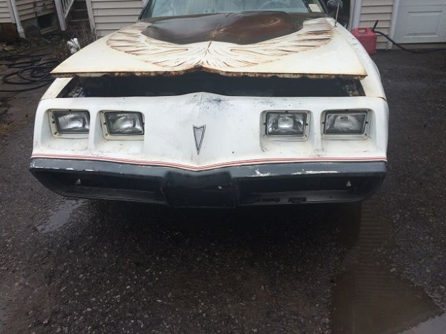 1980 Pontiac Trans Am Pace Car - photo 7
