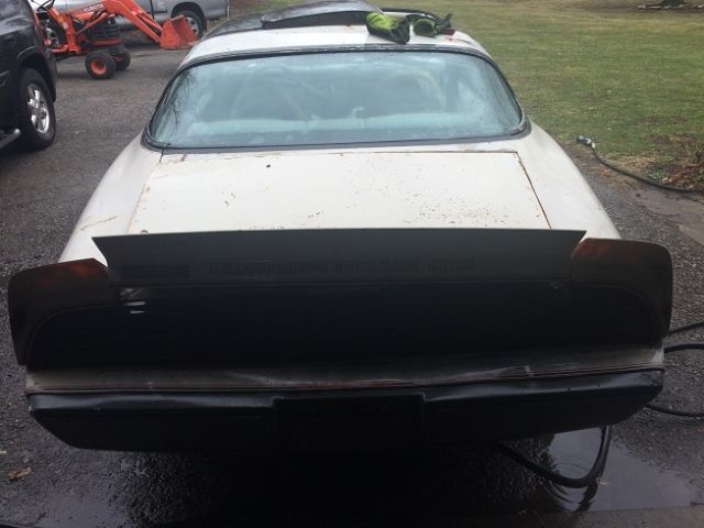 1980 Pontiac Trans Am Pace Car - photo 8
