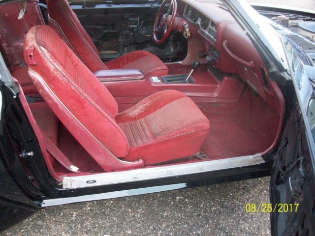 1980 Pontiac Firebird Trans am - photo 13