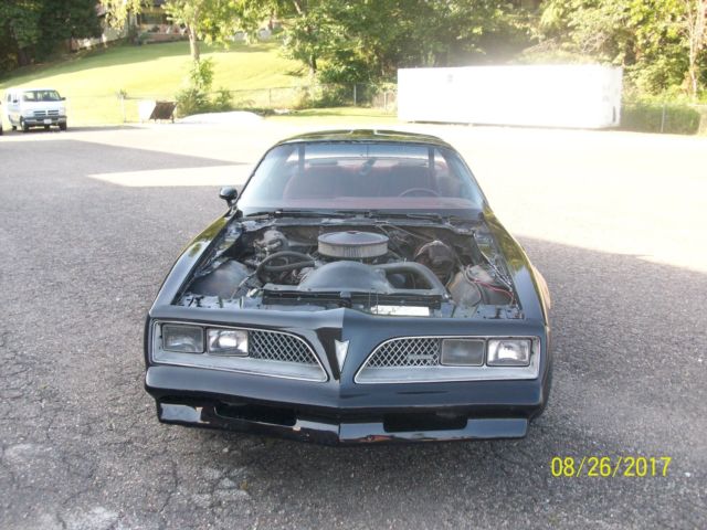 1980 Pontiac Firebird Trans am - photo 3