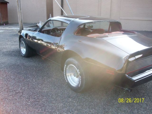 1980 Pontiac Firebird Trans am - photo 8