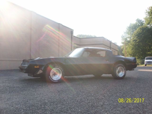 1980 Pontiac Firebird Trans am - photo 9