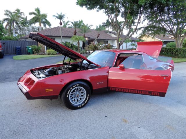 1980 Pontiac Firebird - photo 10