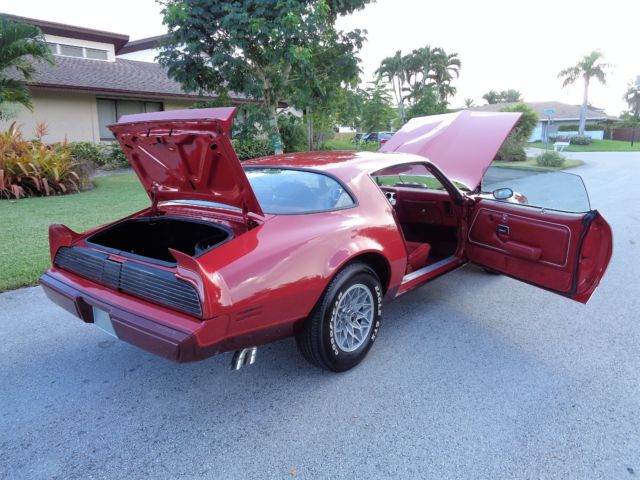 1980 Pontiac Firebird - photo 11