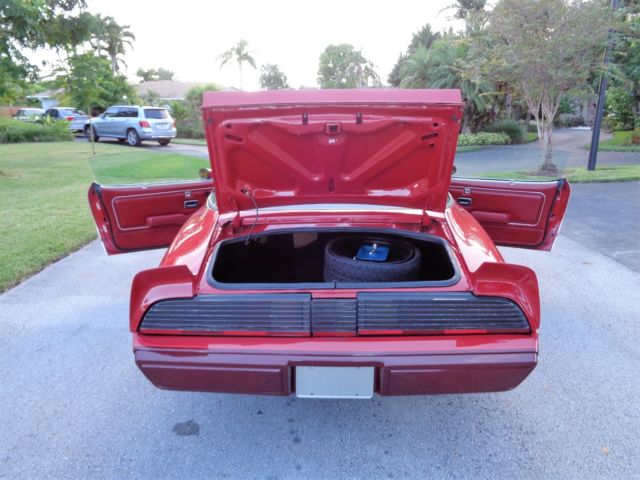 1980 Pontiac Firebird - photo 12