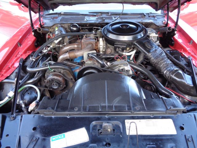 1980 Pontiac Firebird - photo 13