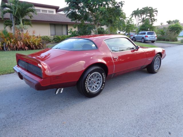 1980 Pontiac Firebird - photo 6