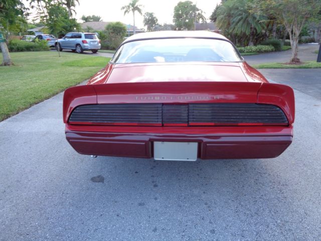 1980 Pontiac Firebird - photo 9